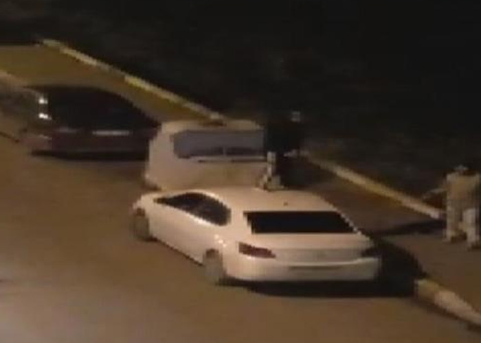 Avcılar'da sokaktaki Pitbull'dan korkup otomobilin üstüne çıktı